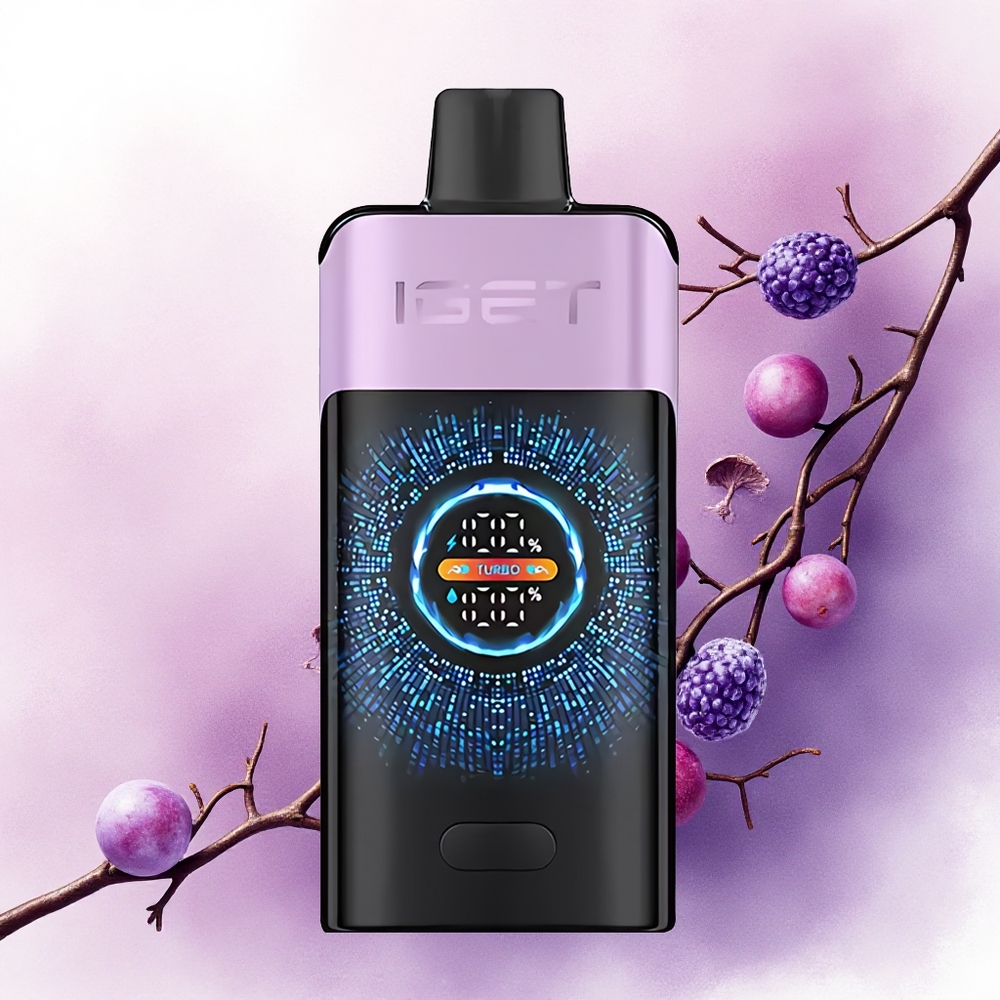 IGET ONE 12000 Puffs Înghețată cu Fructe de Pădure și Baterie 2700 mAh