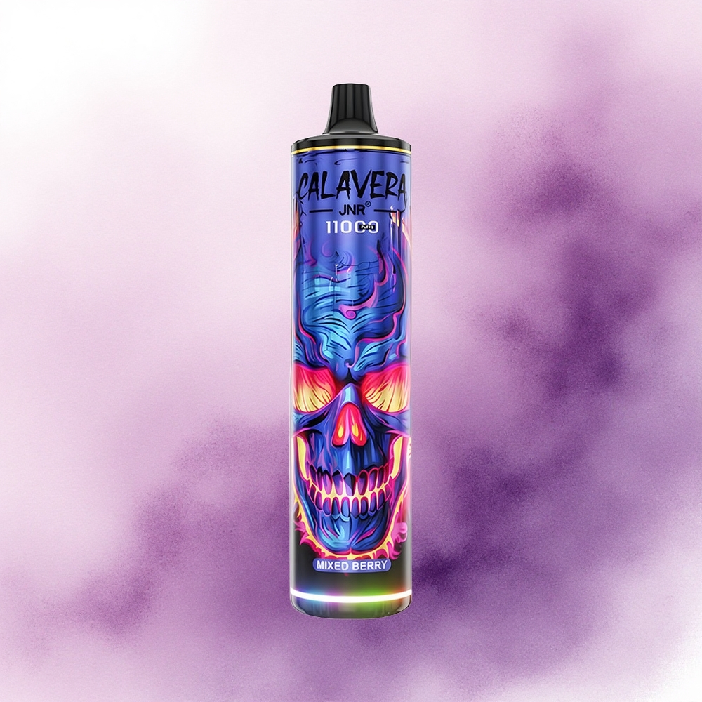 JNR Calavera 11000 Amestec de fructe de pădure cu încărcare Type-C și baterie 850 mAh