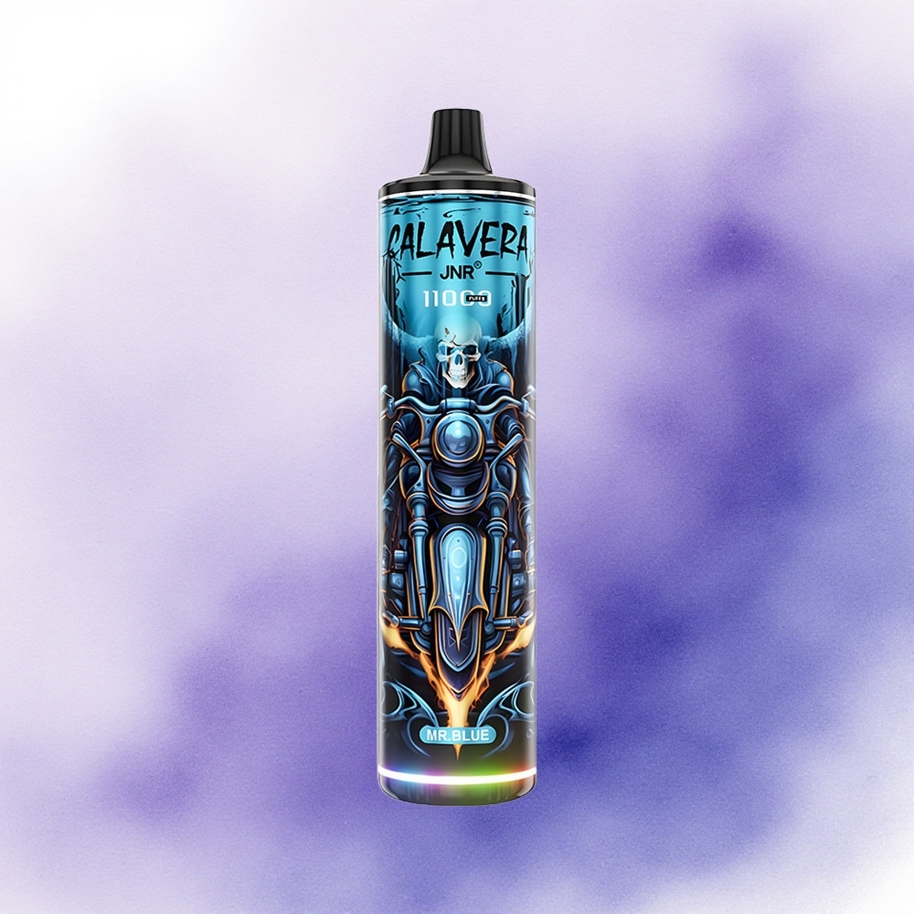 JNR Calavera 11000 Domnul Albastru cu Port Type-C și Baterie 850 mAh
