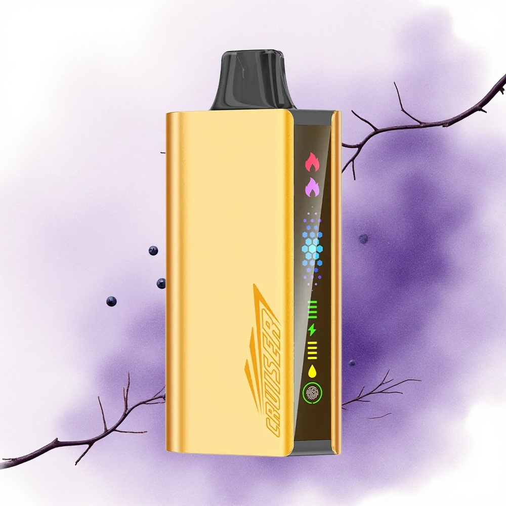 JNR Cruiser 12000 Afineumită Alună Explozivă 3500 mAh Dual Mesh