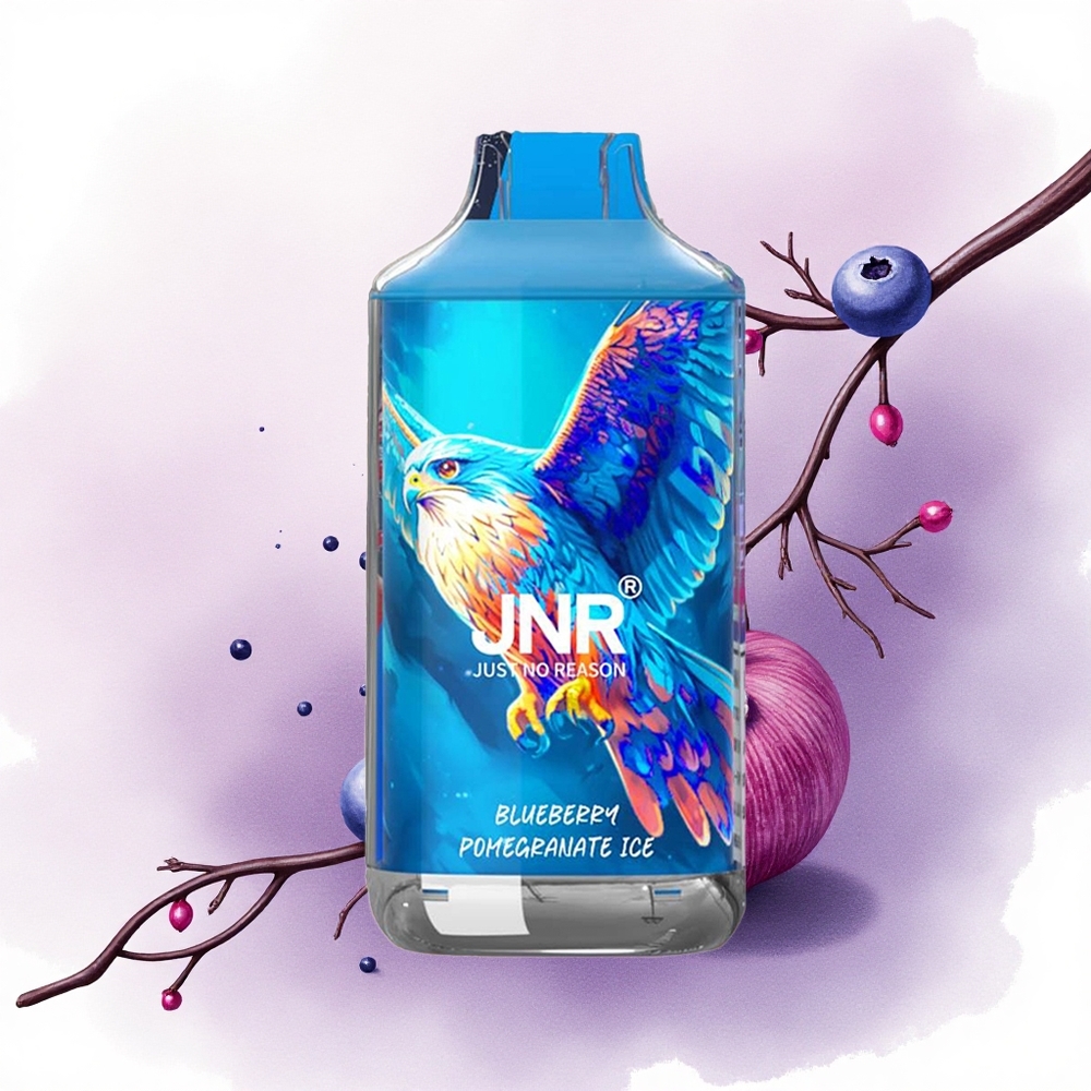 JNR Falcon 16000 Afine Rodie Gheață 850 mAh 2 Nicotină