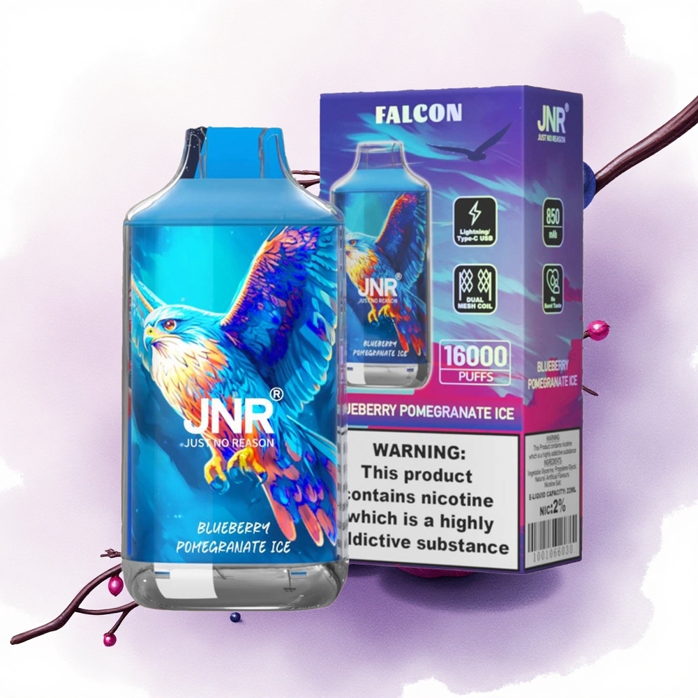 JNR Falcon 16000 Afine Rodie Gheață 850 mAh 2 Nicotină