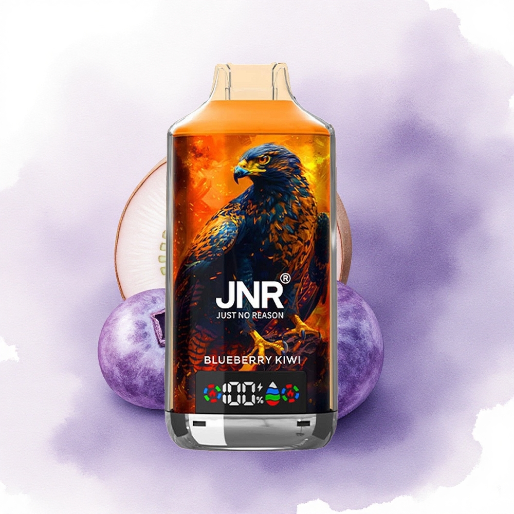JNR Falcon X 18000 Afine Dual Mesh Coil 750mAh Tip-C Încărcare Rapidă Afine Kiwi
