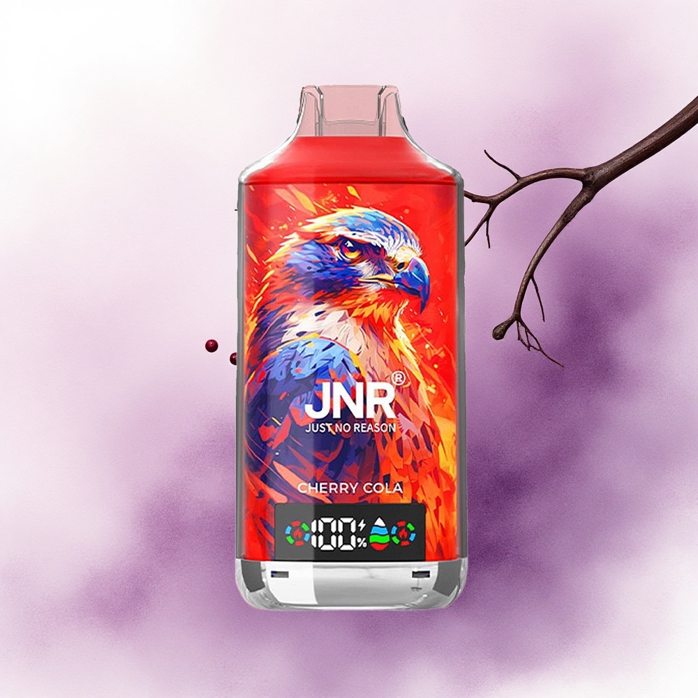 JNR Falcon X 18000 Cireașă Rațiune Dual Mesh Coil 750mAh Tip-C