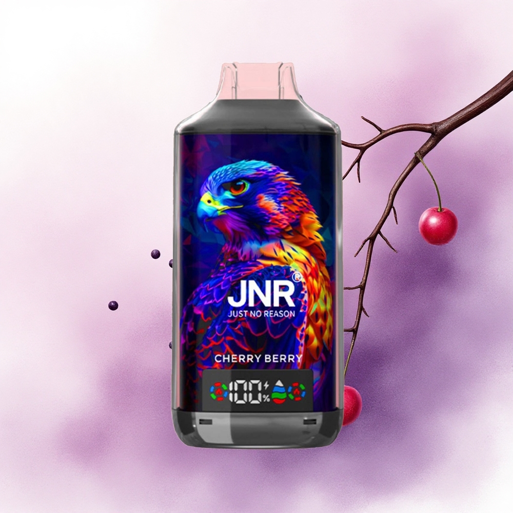 JNR Falcon X 18000 Cireșu Afin Dual Mesh Coil 24ml Tip-C Rapid 5 Nicotină