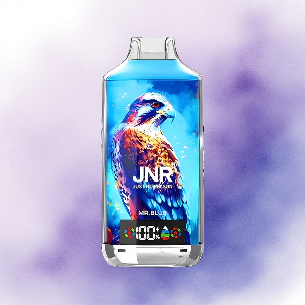 JNR Falcon X 18000 Domnul Albastru 24ml Dual Mesh Coil 750mAh Tip-C 5 Nicotină