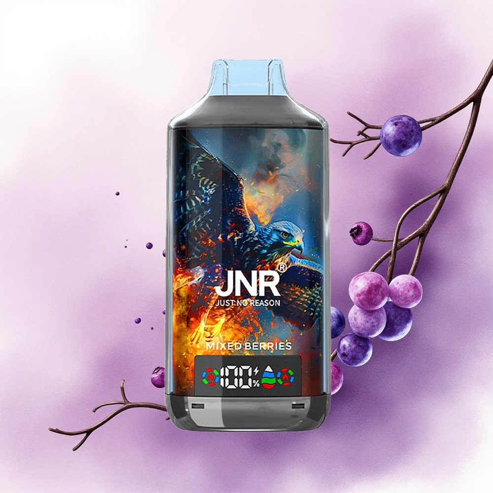 JNR Falcon X 18000 Fructe de Pădure Mixte 750mAh Dual Mesh Coil Tip-C