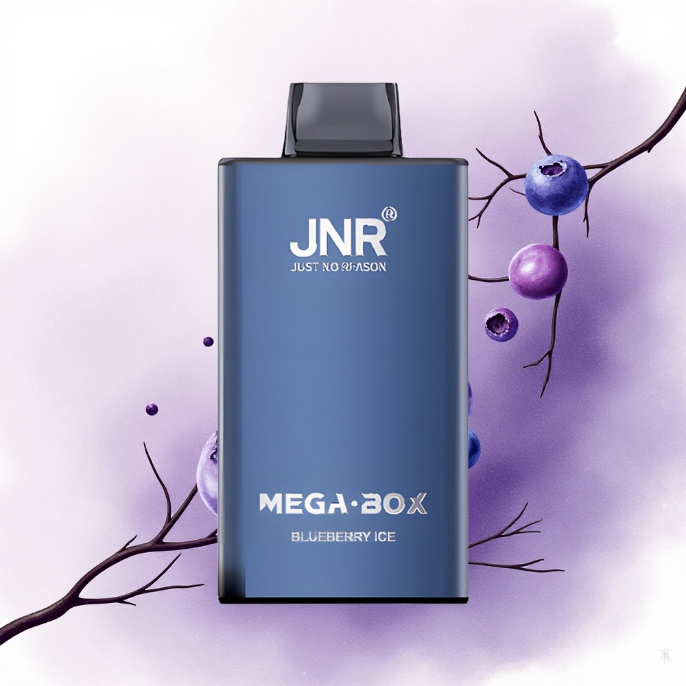 JNR Mega Box 25000 Afine de Mure Gheață cu 30ml și 850mAh