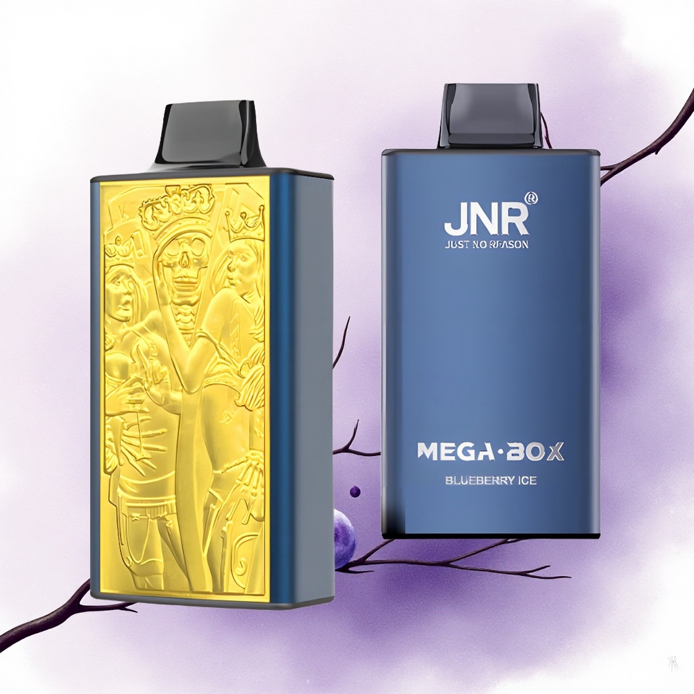 JNR Mega Box 25000 Afine de Mure Gheață cu 30ml și 850mAh