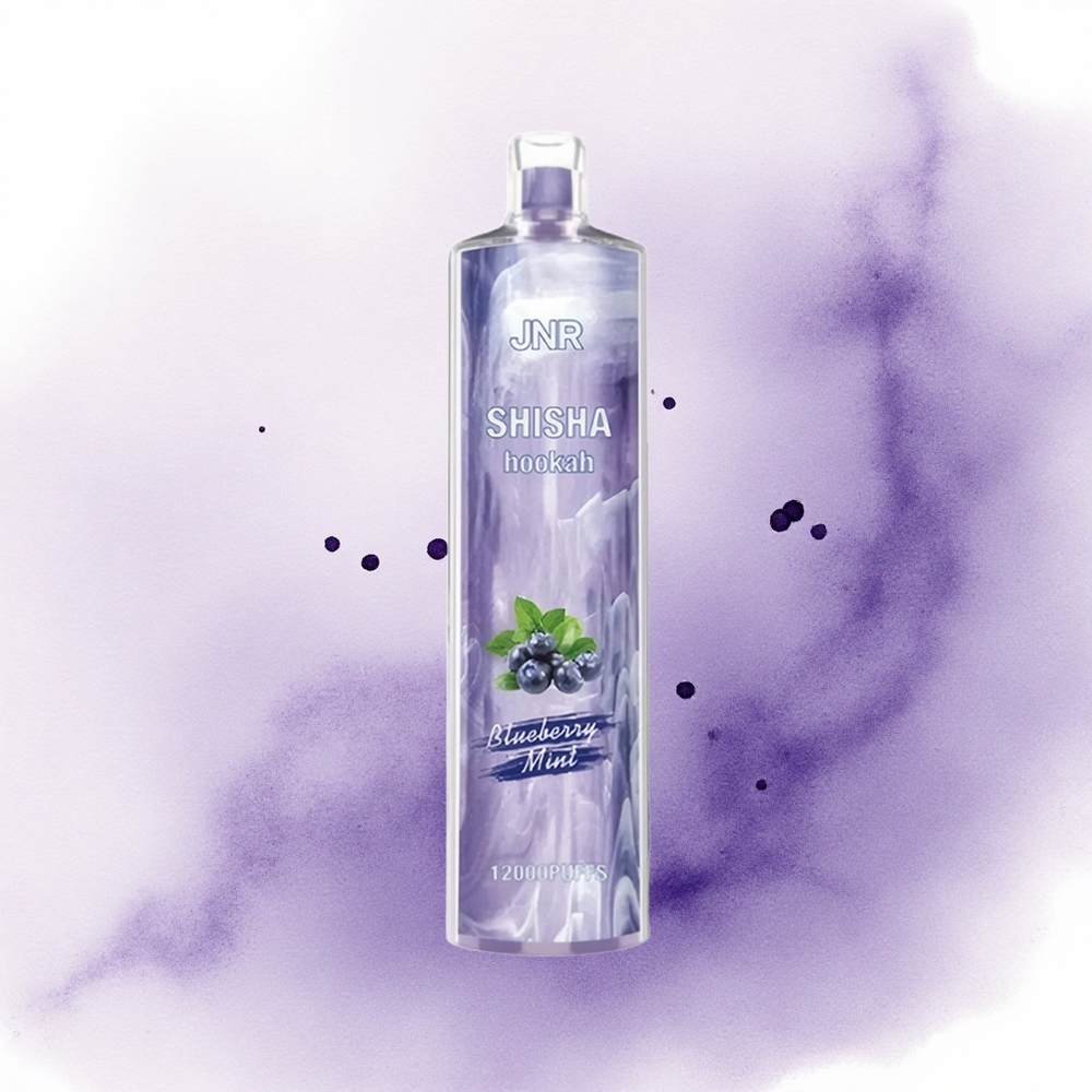 JNR Shisha Hookah 12000 Afine Menta 750mAh 24ml 0 Nicotină